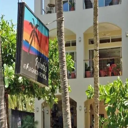 Hotel La Gaviota Tropical