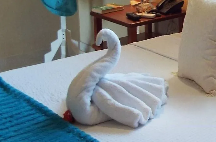 La Gaviota Tropical *