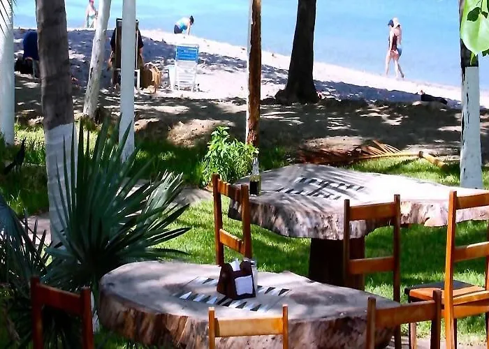 La Gaviota Tropical
